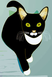 Mr. Cat